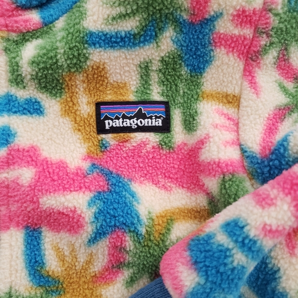 Patagonia Synchilla 4t - Picture 4 of 6